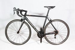 Focus Izalco 6.9