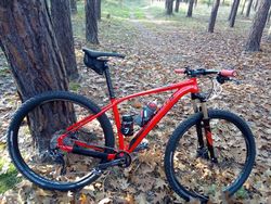 Specialized Rockhopper 29