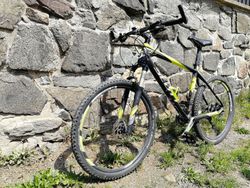 Scott Scale 30