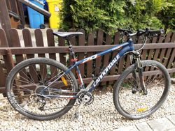 Cannondale Trail 5