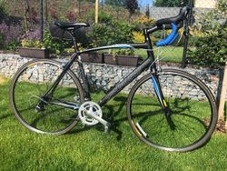 Specialized Allez Sport, velikost 58