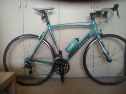 Bianchi NIrone 7