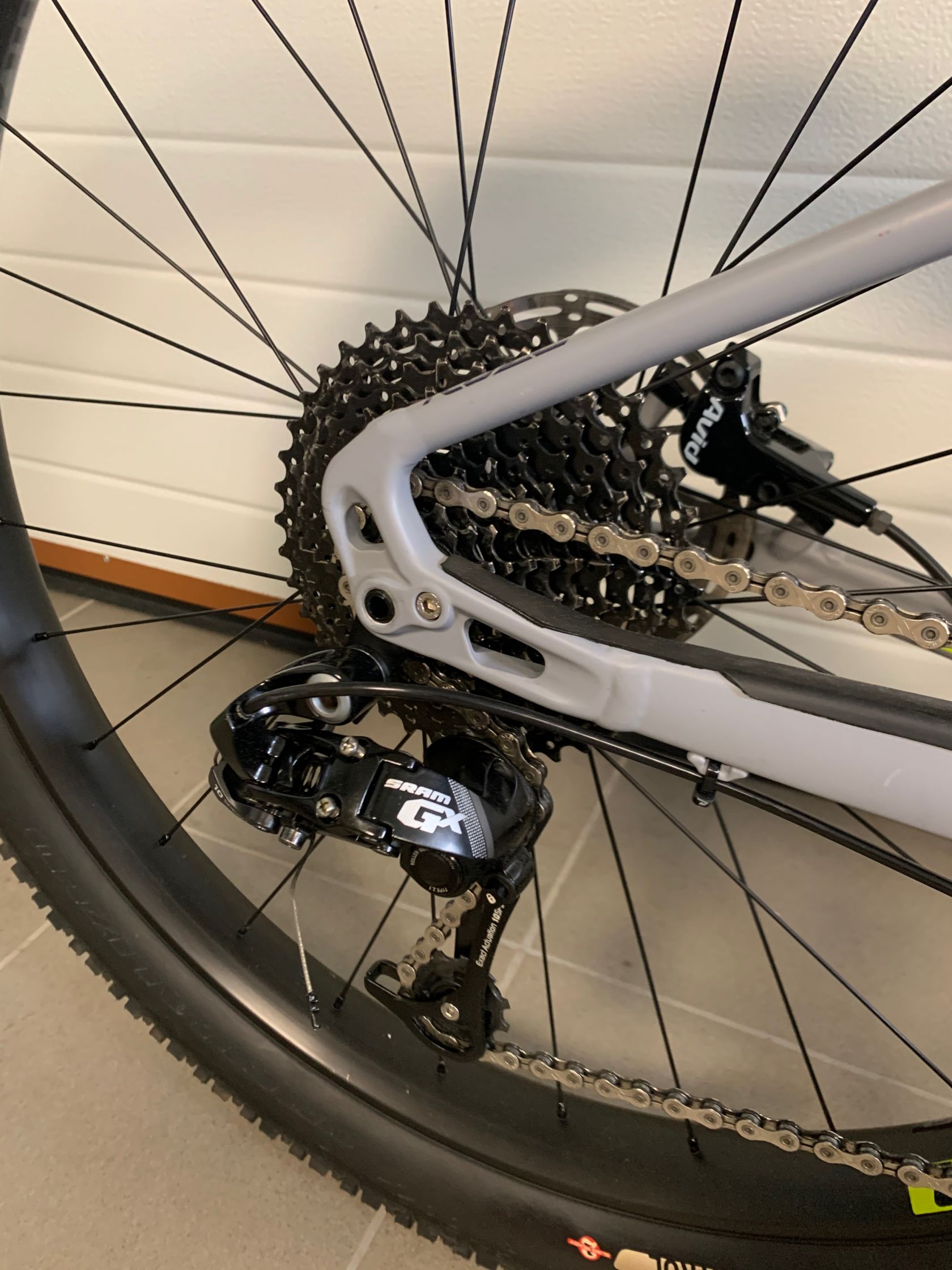 specialized ruze expert