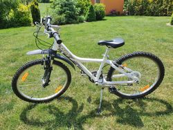 Dívčí kolo Giant Tuffy
