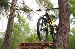 Mondraker foxy 29"
