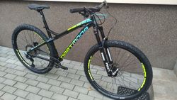 Noné MTB Dartmoor Primal Pro Custom 29" 1x12