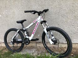 Kona Stinky 2-4