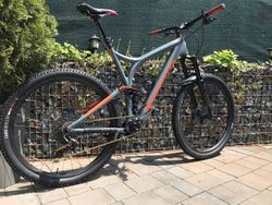 niner carbon RIP 9 RDO