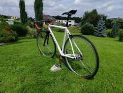 Prodám Singlespeed