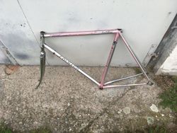 Colnago Master