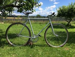 Singlespeed
