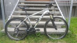 Kellys Magic XC cross country