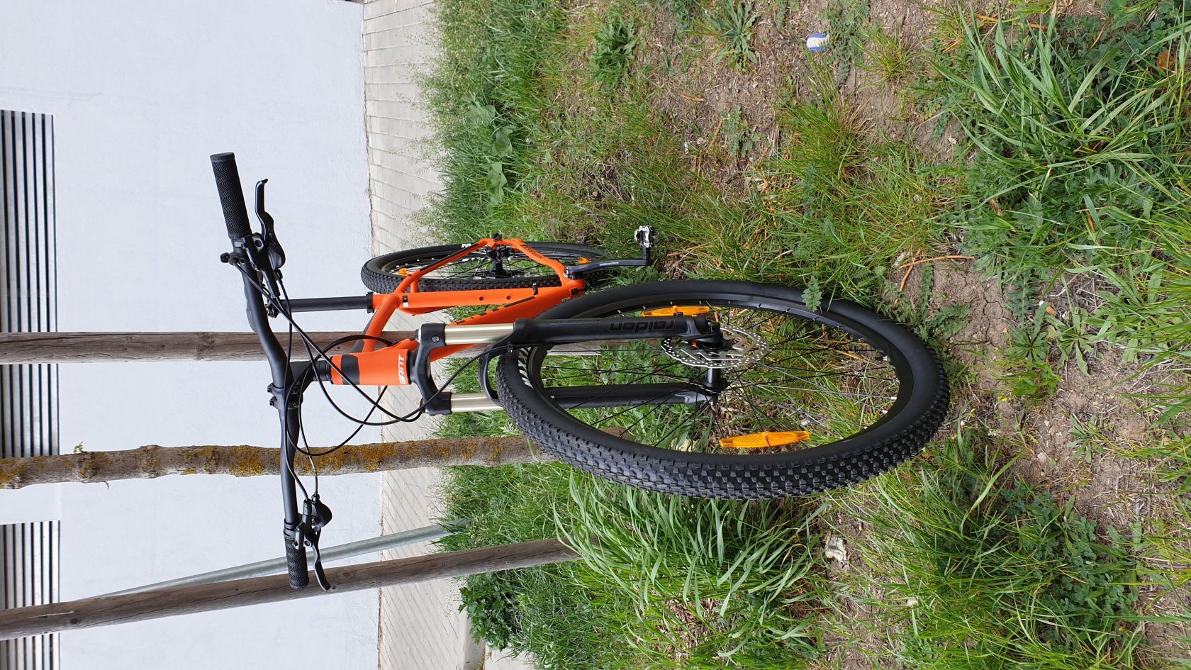 giant terrago 29