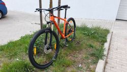 GIANT TERRAGO 29 2 2020