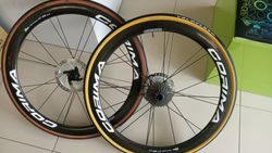 CORIMA WS BLACK DX