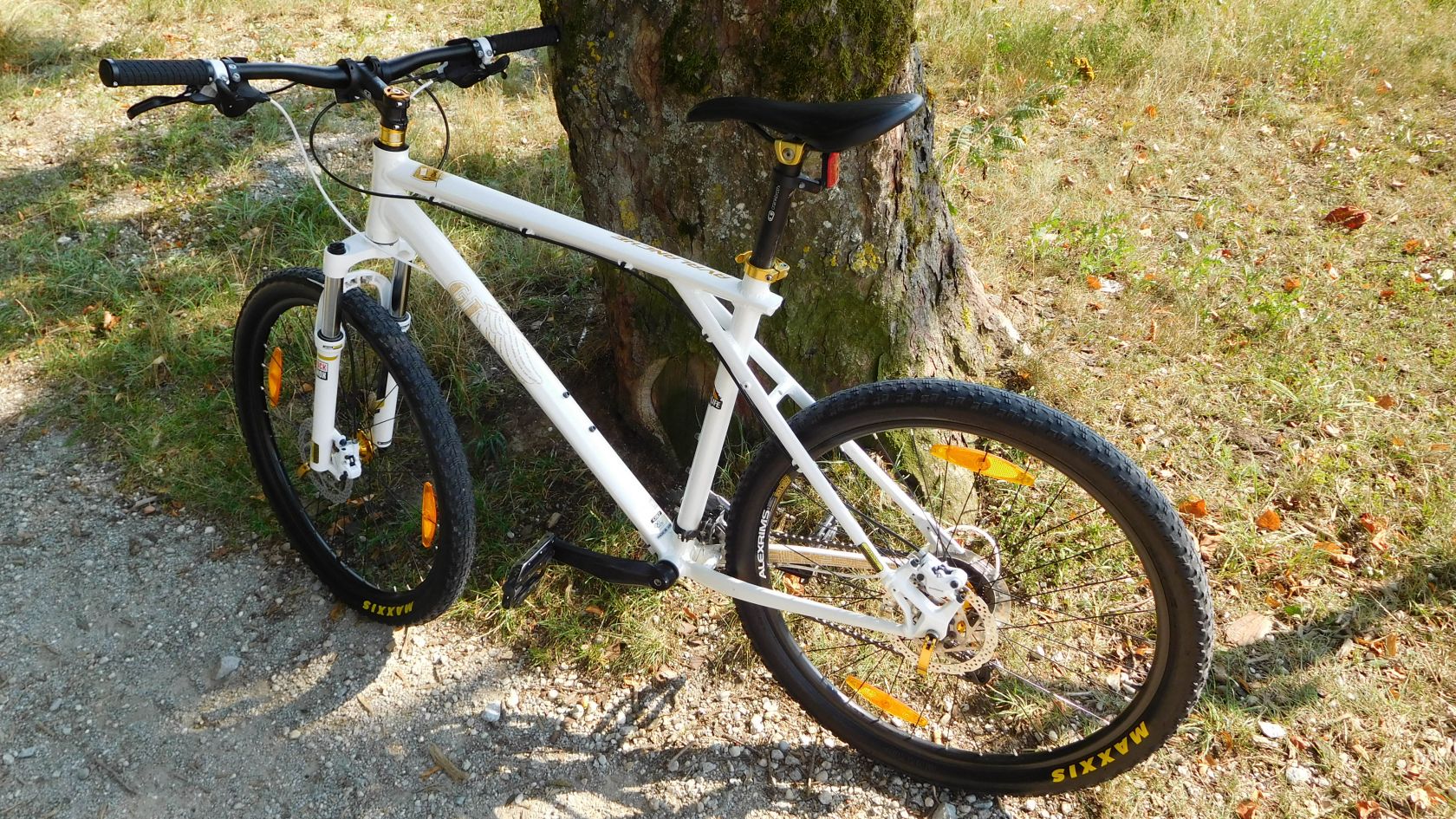 gt avalanche hans rey