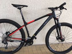 Corratec X Vert Expert 29