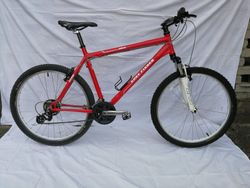 GARRY FISHER 26"