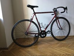 Favorit singlespeed