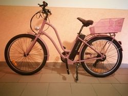 Apache Gaagii Lady fialové 18"