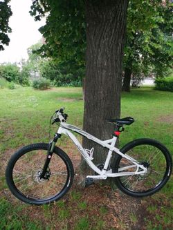 Specialized Myka