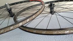 Roval control trail 29