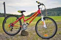 Dětské dívčí kolo Leader Fox Spider 24" TOP
