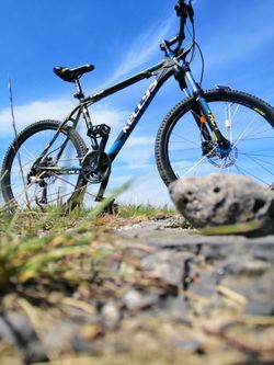 Kellys viper 50