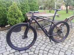 Specialized epic expert ht 2020