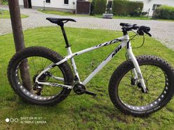 KTM Fat flea