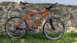 Author Kinetic 19"