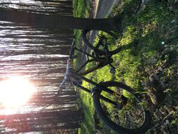 Specialized Demo 29”