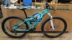 MRX Aspius Lady 2020