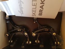 Prodám brzdy Campagnolo Chorus Skeleton -Dual-Dual.