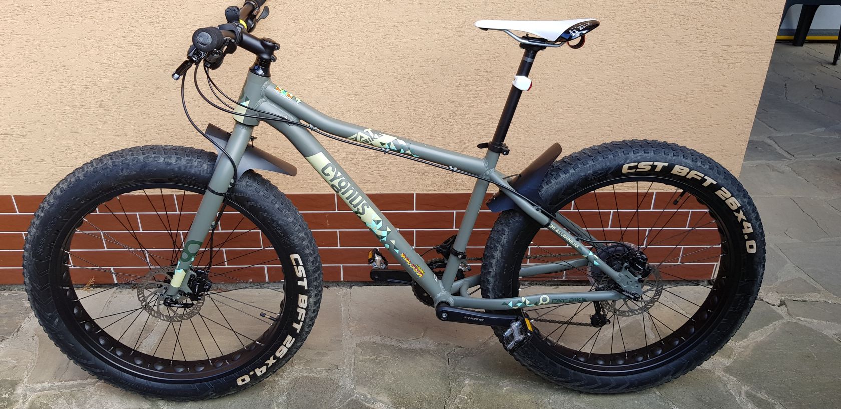cygnus fat bike 20