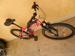 dětské kolo core Nipper 24"
