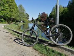 Mondraker Foxy R29 Carbon 2019