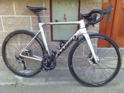 Basso Venta 2020