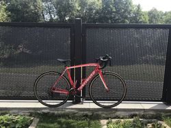 Specialized tarmac Karbon