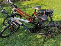 ELEKTROKOLO ACSTAR LADY FLORIDA SX + ELEKTOKOLO AGOGS UPHILL