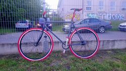Single speed Ocel Hi-Ten vel 56.