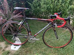 Krásné colnago C-40 na Campagnolo Record/centaur 10sp