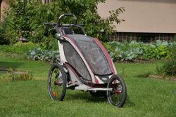 Chariot CX1