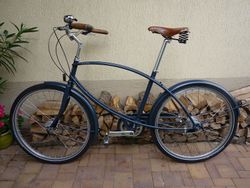 PASHLEY Parabike