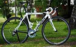 CX Spyder Trilobite