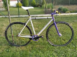 Mongoose Maurice 2011