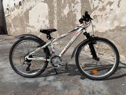LEADER FOX SPIDER 24