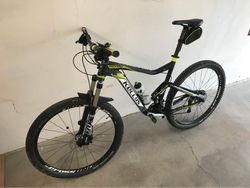 Kellys Reyon 50