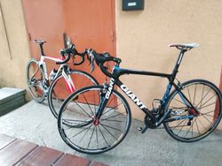 Kolo giant