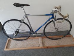Colnago